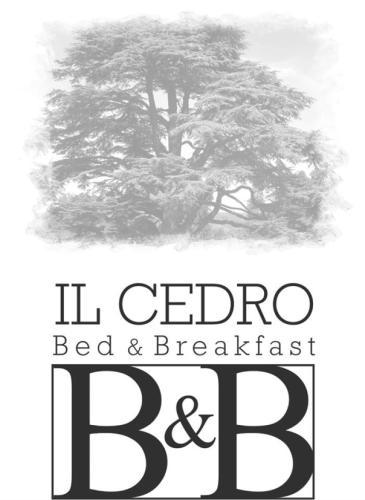 logo_b6b_il_cedro